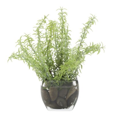 Frosted Sprengeri in Bevel Vase - 212249