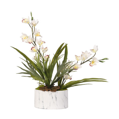 Cream Cymbidium Orchid Arrangement in Medium Cora Bowl - 217015