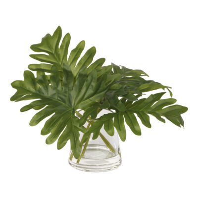 Split Leaf Philo in Taper Vase - 217026