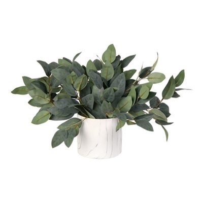 Eucalyptus in Cora Vase - 217043