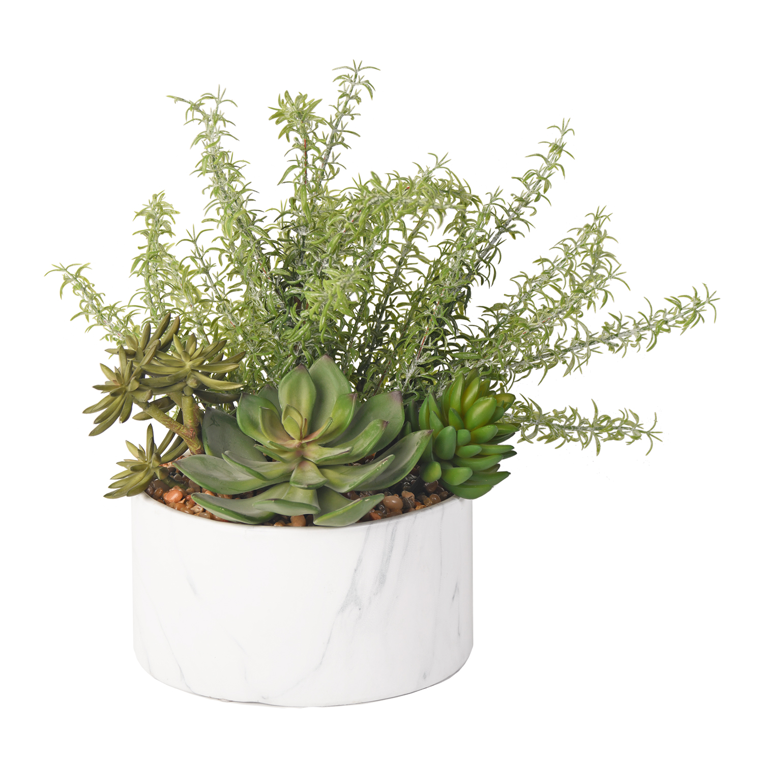 Rosemary & Succulents in Cora Bowl - 217065