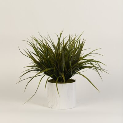 Wild Grass in Large Cora Vase - 217073