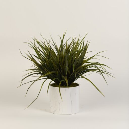 Wild Grass in Large Cora Vase - 217073