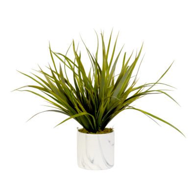 Grass in Small Cora Vase - 217077
