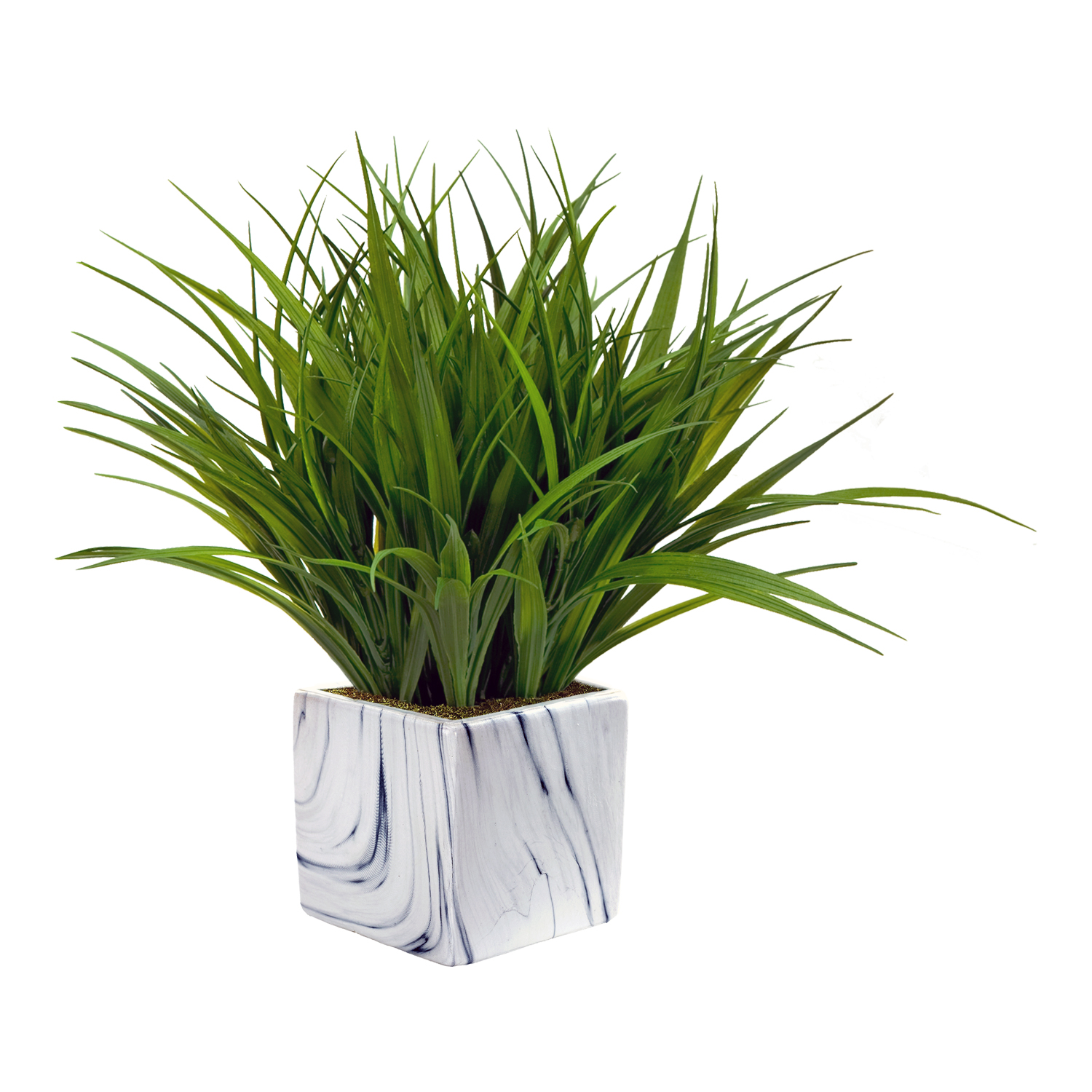 Grass in Small Square Cora Vase - 217078