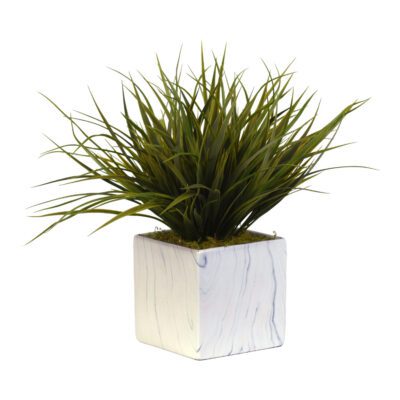 Grass in Square Cora Vase - 217079