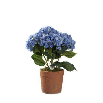 Blue Hydrangeas in Trove Planter - 21PV012