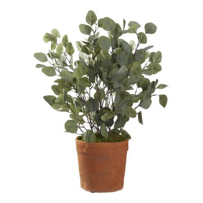 Eucalyptus in Trove Planter - 21PV013