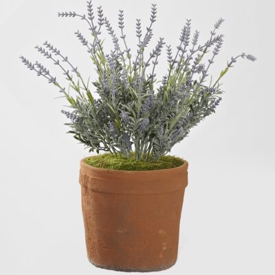 Lavender Spray in Trove Planter - 21PV016