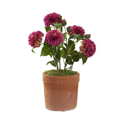 Dahlias in Trove Planter - 21PV018-B
