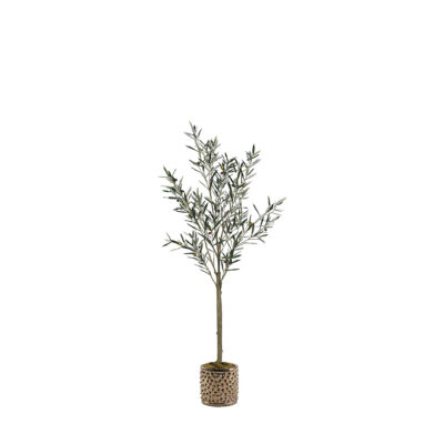Olive Tree in Gold Pierce Planter 6' - 21PV306