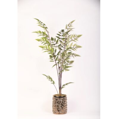 Leather Fern in Gold Pierce Planter - 21PV307