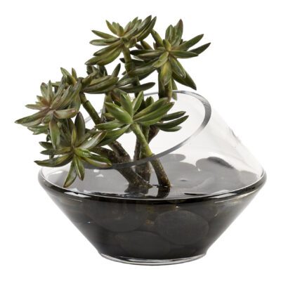Bunched Succulents in Terra Vase - 221038