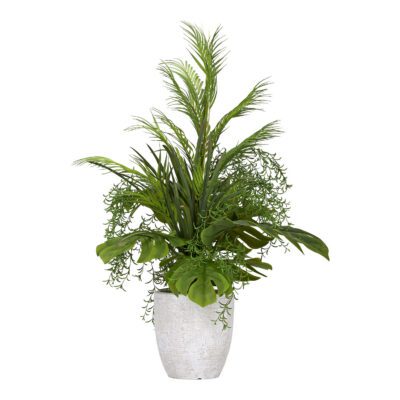 Areca Grass and Assorted Tropical Greenery in White Etched Planter - 225049