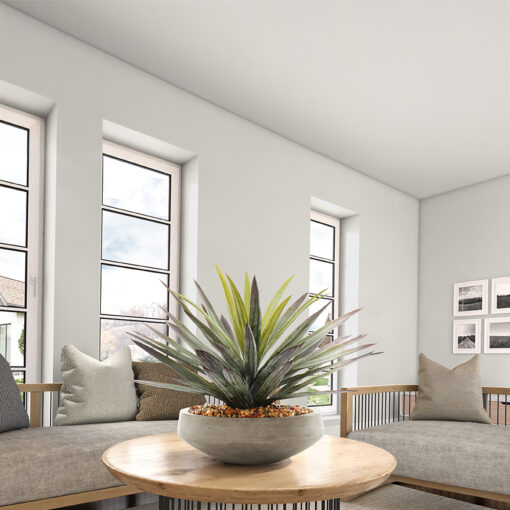 Agave in Newport Bowl - 1002-2064 - Image 2