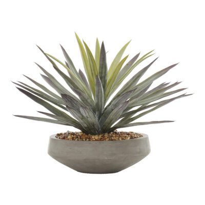 Agave in Newport Bowl - 1002-2064