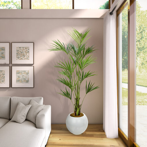 Kentia Palm in Porter Planter 8.2' - 1012-3104 - Image 2