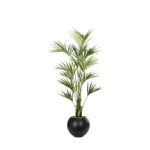 Kentia Palm in Porter Planter 8.2' - 1012-3106