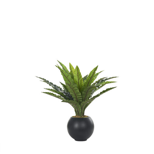 Nettle Leaf in Porter Planter - 1031-3105