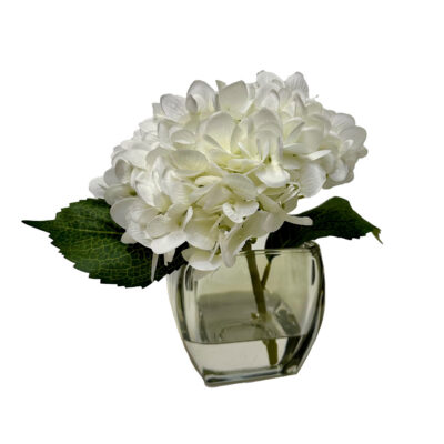 Cream Hydrangea in Bevel Vase - 191017-A
