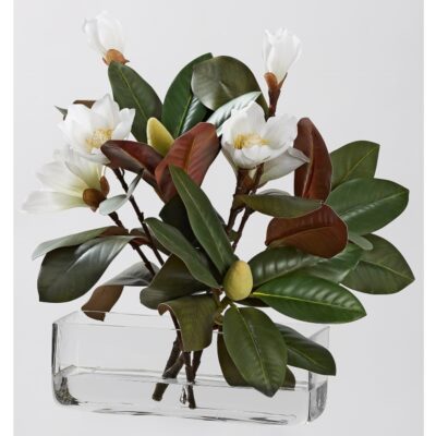 White Magnolias in Small Aquaria Glass - 231050