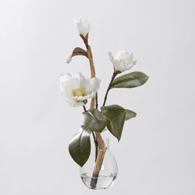 White Magnolias and Ghostwood in Light Bulb Shape Vase - 231051