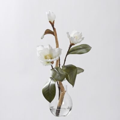 White Magnolias & Ghostwood in Light Bulb Shape Vase - 231051