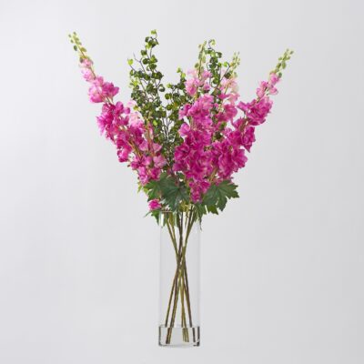 Pink Delphiniums with Ficus Benjamina in Glass Cylinder - 231054