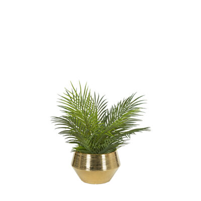Palm Fronds in Gold Ceramic Pot - 231104