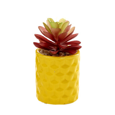 Red Pagoda in Yellow Ceramic Planter - 231124