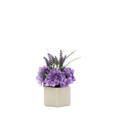 Lavender in Simply Square Vase - 231130