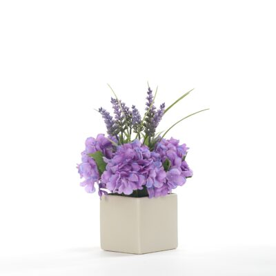 Lavender in Square Ceramic Planter - 231130