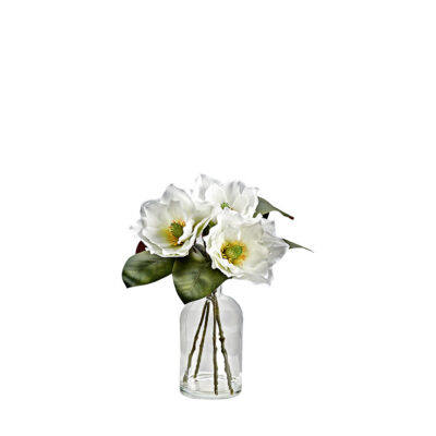 White Magnolias in Glass Vase - 231131