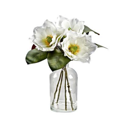 White Magnolias in Glass Vase - 231131