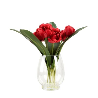 Red Tulips in Glass Vase - 231132