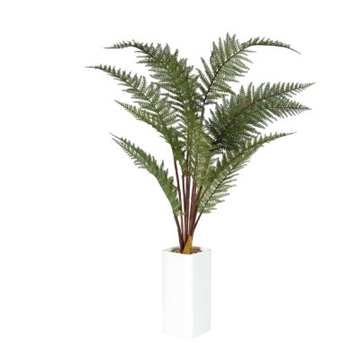 Imperial Sam Fern in White Square Planter - 231147