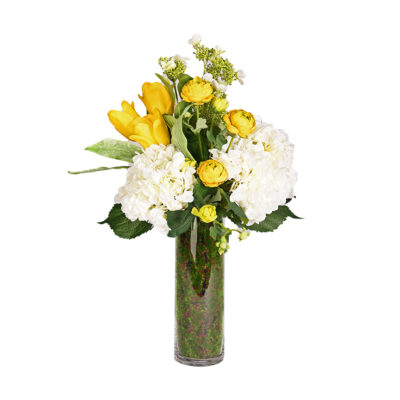 Hydrangeas, Ranunculus, in Glass Cylinder - 234004