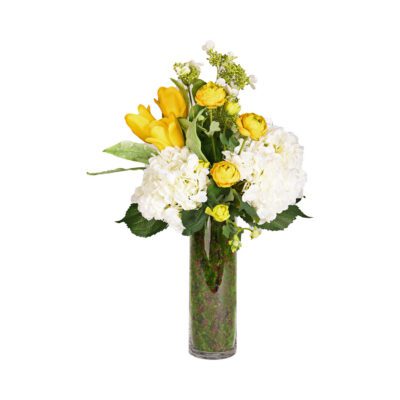Hydrangeas, Ranunculus in Glass Cylinder - 234004