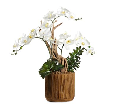 Orchids, Ghostwood, and Succulents in Wood Stain Planter - 234022