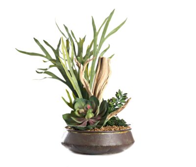 Staghorn Fern, Ghostwood, and  in Metal Bowl Handles - 234023