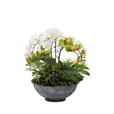 Orchids & Philo Leaves in Hex Plated Planter - 238000