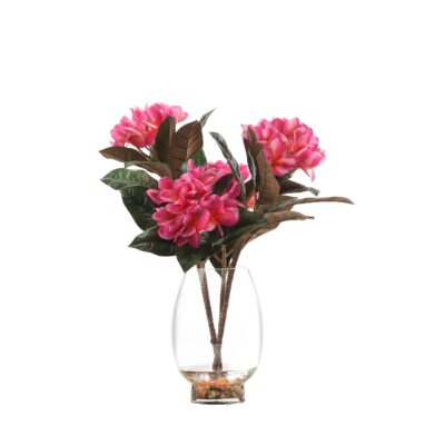 Beauty Frangipani in Glass Vase - 246000