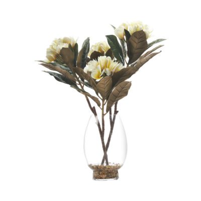 Frangipani in Socle Vase - 246001