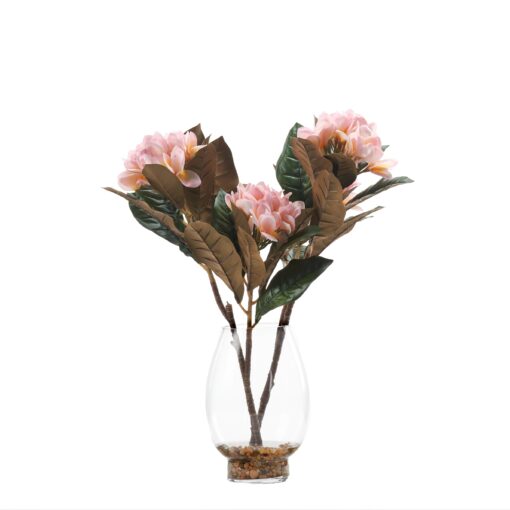 Pink Frangipani in Glass Vase - 246002
