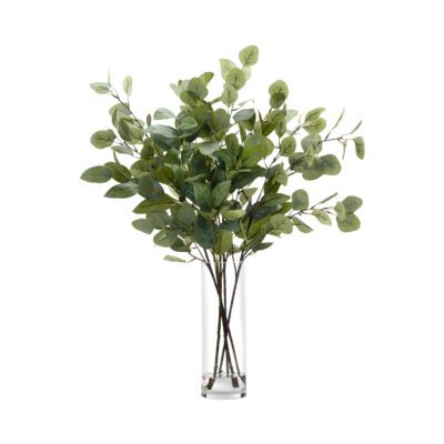 Eucalyptus Stems in Glass Vase - 246005