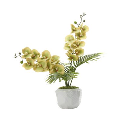 Orchids and Palms in White Ceramic Planter - 246008