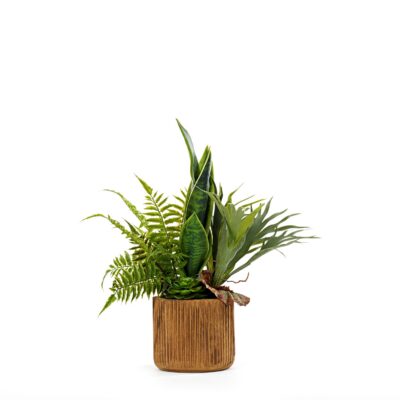 Assorted Greenery in Asher Planter - 246012