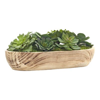 Mixed Echeverias in Ambrose Oval Bowl - 246013