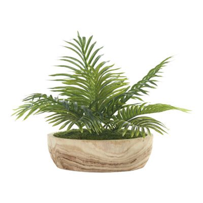 Hawaiian Palm in Round Wooden Bowl - 246015