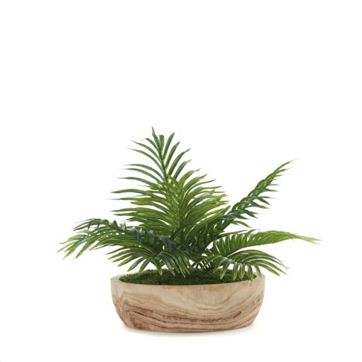 Hawaiian Palm in Round Wooden Bowl - 246015